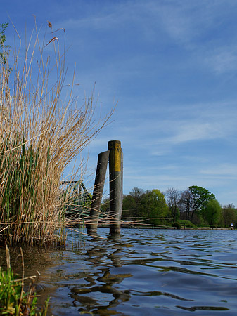 Brücke mit Ufer - Brandenburg (Potsdam)