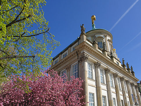 Altes Rathaus - Brandenburg (Potsdam)