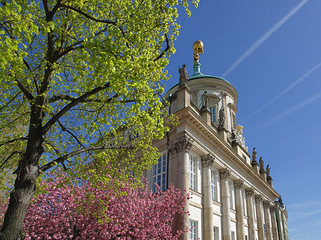 Altes Rathaus - Brandenburg (Potsdam)